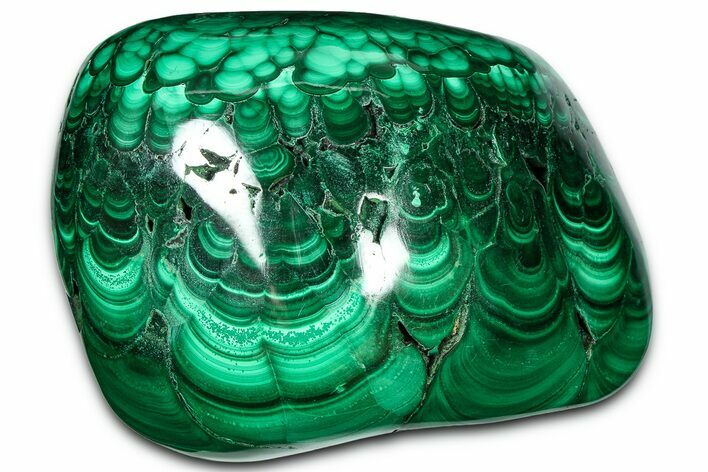 Flowery Polished Malachite Specimen - DR Congo #360907